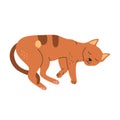 Cute sleeping orange cat, hand drawn vector illustration